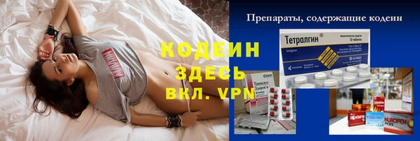 дурь Алексеевка