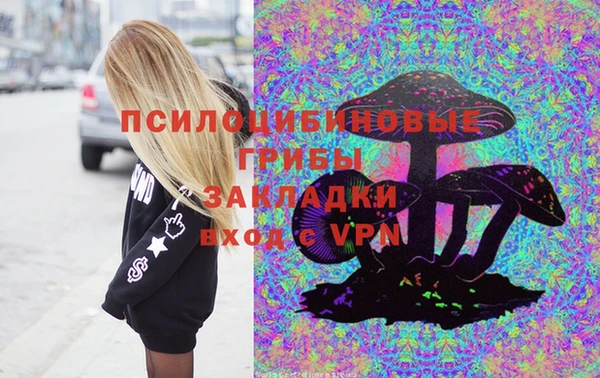 а пвп мука Алзамай