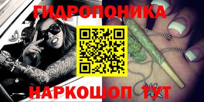 индика Наро-Фоминск