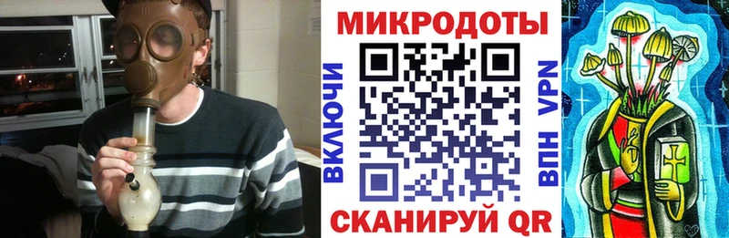 Псилоцибиновые грибы Cubensis Чистополь