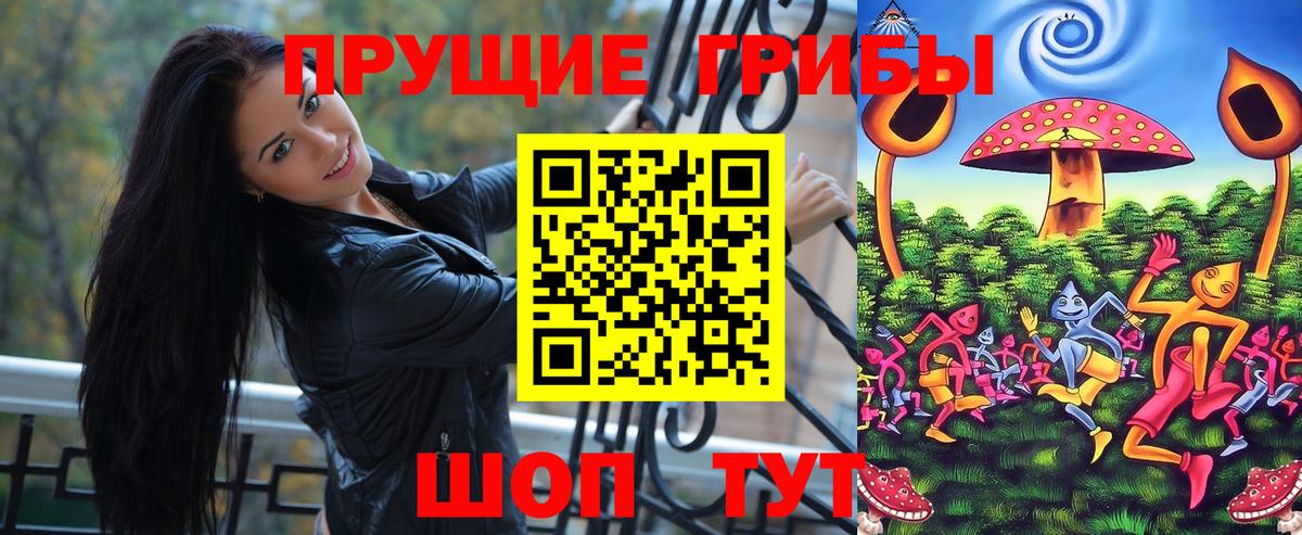Чистополь  Псилоцибиновые грибы Magic Shrooms  Вход с VPN 